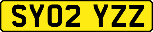 SY02YZZ
