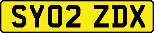 SY02ZDX