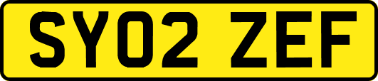 SY02ZEF