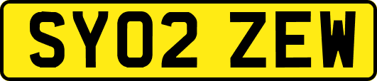 SY02ZEW