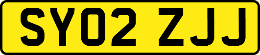 SY02ZJJ