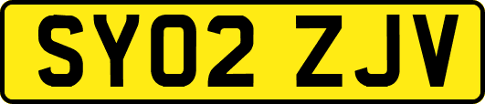 SY02ZJV