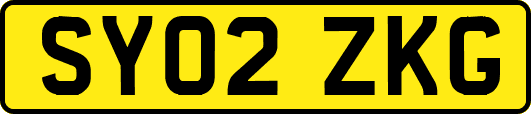 SY02ZKG