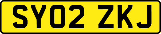 SY02ZKJ
