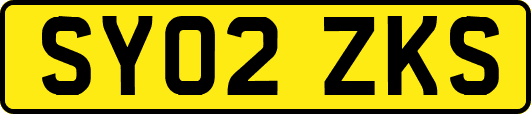 SY02ZKS