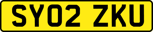 SY02ZKU