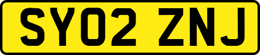 SY02ZNJ