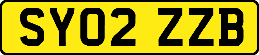SY02ZZB