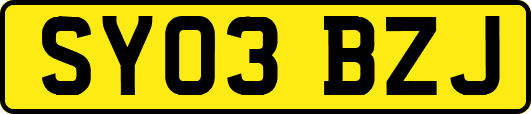SY03BZJ