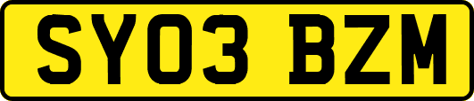 SY03BZM