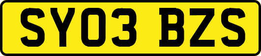 SY03BZS