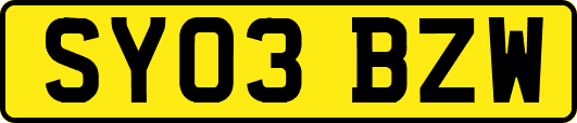 SY03BZW