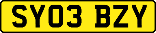 SY03BZY