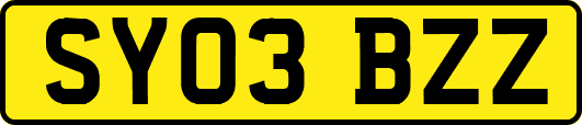SY03BZZ