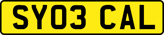 SY03CAL