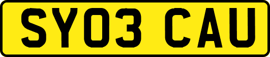SY03CAU