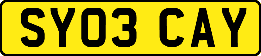 SY03CAY
