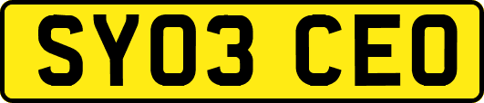 SY03CEO