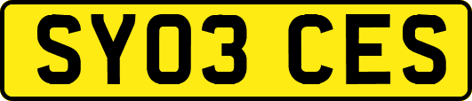 SY03CES