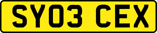 SY03CEX