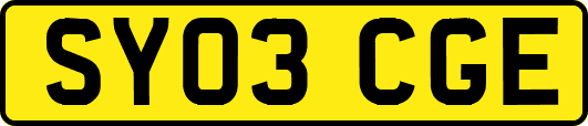 SY03CGE