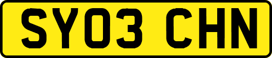SY03CHN