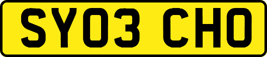 SY03CHO