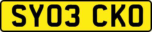 SY03CKO