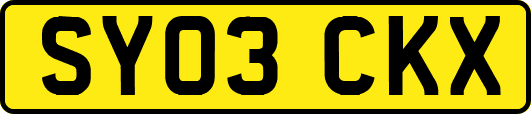 SY03CKX