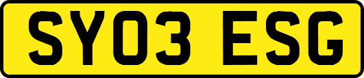 SY03ESG