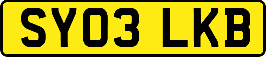 SY03LKB