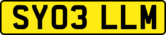 SY03LLM