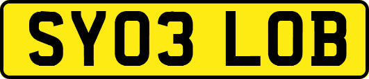 SY03LOB