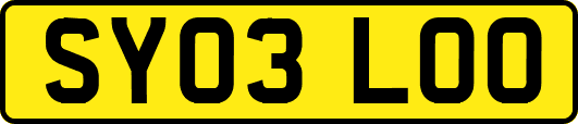 SY03LOO