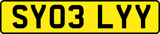 SY03LYY