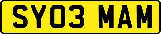 SY03MAM