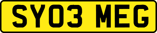 SY03MEG