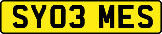 SY03MES