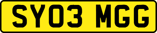 SY03MGG
