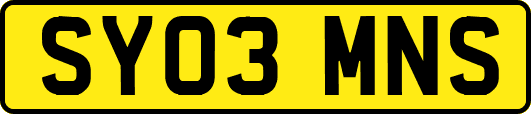 SY03MNS
