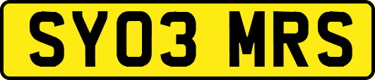 SY03MRS