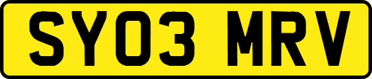 SY03MRV