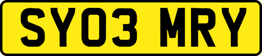 SY03MRY