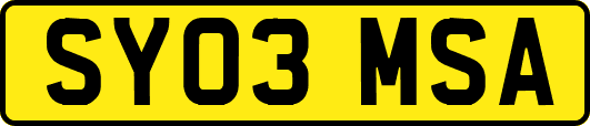 SY03MSA