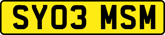 SY03MSM