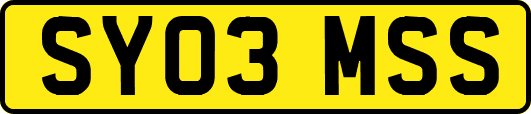 SY03MSS