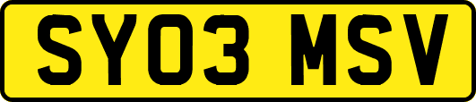 SY03MSV
