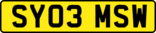 SY03MSW