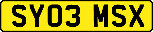 SY03MSX
