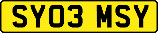 SY03MSY